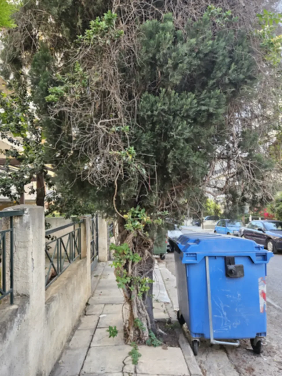 ΔΕΔΔΗΕ τηλέφωνα επικοινωνίας: Ποιος καθαρίζει τα δέντρα που αγγίζουν καλώδια πριν μείνεις στο σκοτάδι