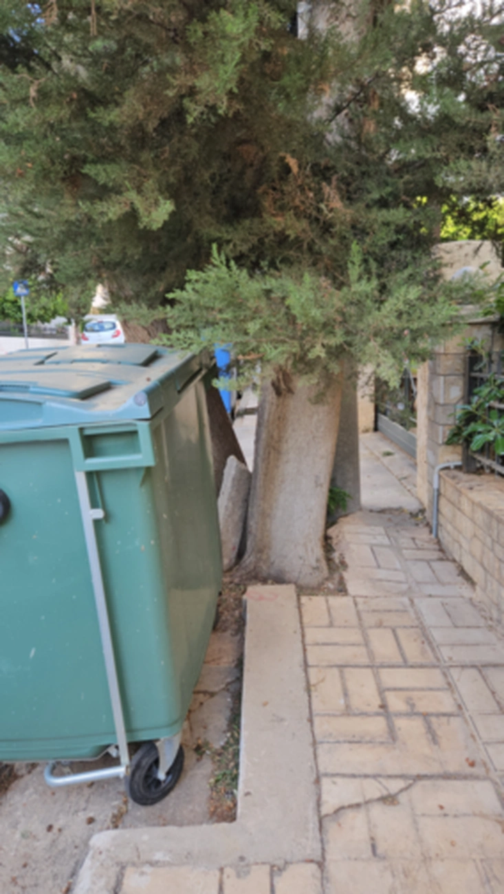 Άνω Γλυφάδα: Αυτό πώς το περιγράφεις, Έλληνα; Έλα να δεις τι έκανες στα πεζοδρόμια (βίντεο)