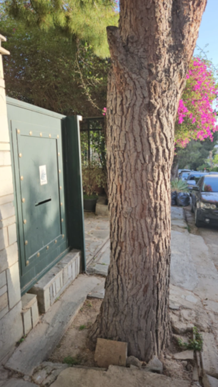 Άνω Γλυφάδα πεζοδρόμια το…αδιέξοδο! Βίντεο από τον σιωπηλό εμφύλιο στις γειτονιές