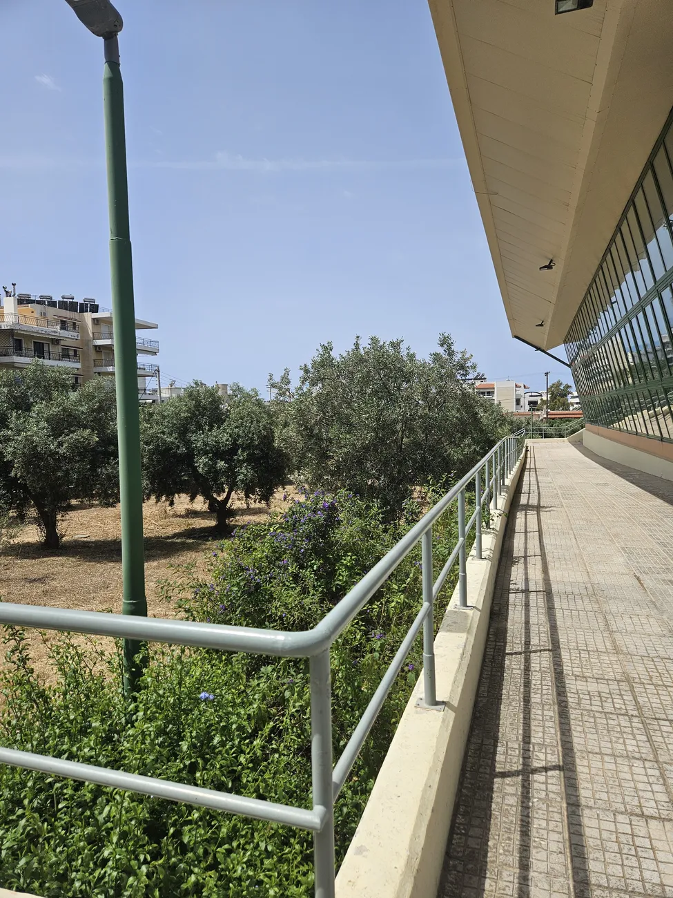 Διασχολικό Κέντρο Γλυφάδας: Μια κυψέλη αθλητισμού που λάμπει από τάξη